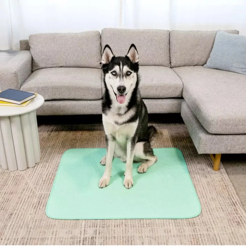 Reusable quick dry dog pad